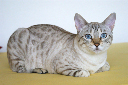 DSC00311_1