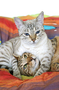 DSC00576 22-53-30