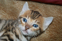 DSC05830