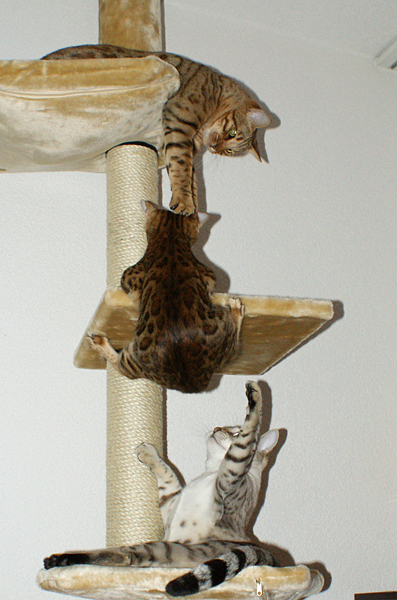 DSC01888