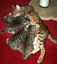 DSC04261 15-11-30